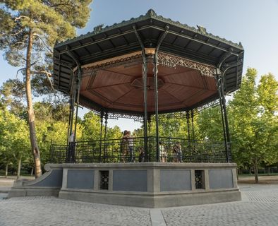 乔木在公园在阳光灿烂的日子