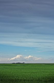 田野，草原，农场，旷野，草原生活