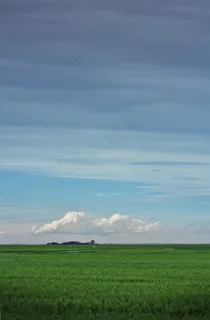 田野，草原，农场，旷野，草原生活