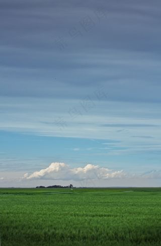 田野，草原，农场，旷野，草原生活
