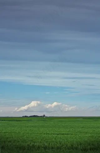 田野，草原，农场，旷野，草原生活