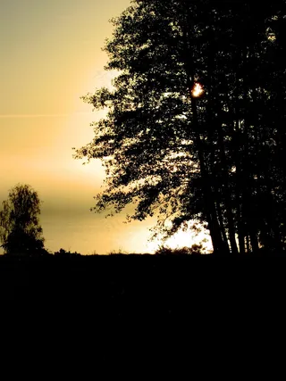 日落，秋雾，雾，光，黑暗，必不可少