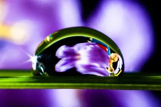 一滴水，滴水，草叶，开花，盛开