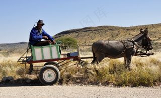 非洲，纳米比亚，鲍尔，马车，驴，农业