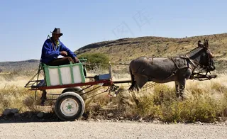 非洲，纳米比亚，鲍尔，马车，驴，农业