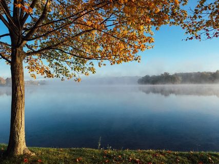 湖，树，秋，秋天，叶子，公园，季节