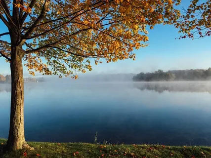 湖,树,秋,秋天,叶子,公园,季节 湖,树,秋,秋天,叶子,公园,季节