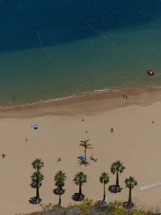 沙滩，海滩，棕榈树，恢复，假期