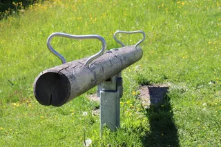 参见锯，摇摆，摇摆设备，横杆，游戏设备，摇滚