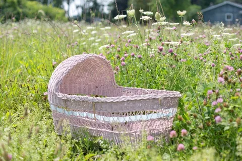 婴儿Bassinet,Bassinet,粉红色,野花,婴儿,儿童 婴儿Bassinet,Bassinet,粉红色,野花,婴儿,儿童