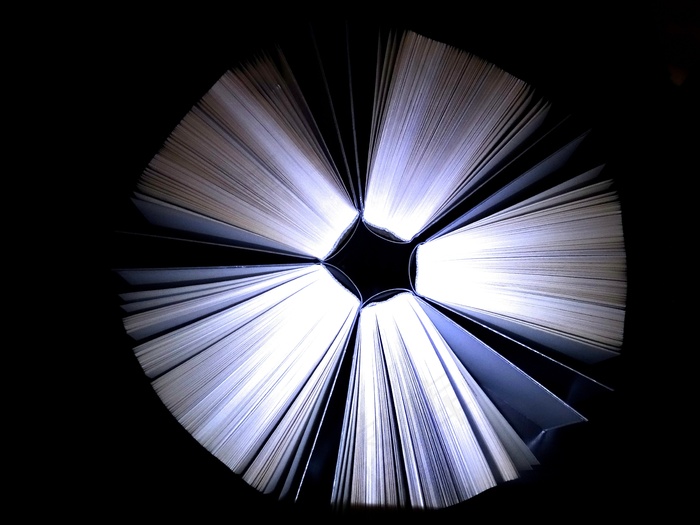 书籍，阅读，教育，书虫，Lesenarr，文学