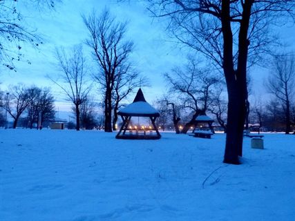 冬天，日落，风景，寒冷，季节，户外
