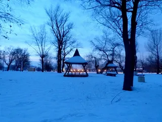 冬天，日落，风景，寒冷，季节，户外