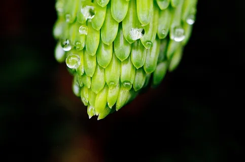 不完整,串珠,雨,滴水,宏 不完整,串珠,雨,滴水,宏