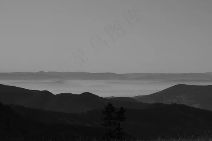高山，黑森林，全景，费尔德伯格，瑞士