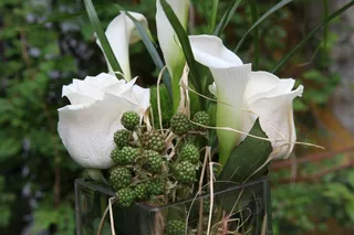 婚礼，马蹄莲，花，玫瑰，开花，盛开