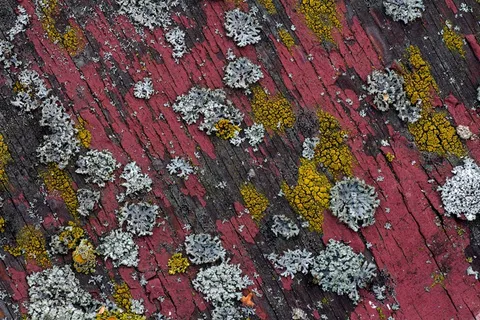 背景，木，旧漆，纹理，板，编织