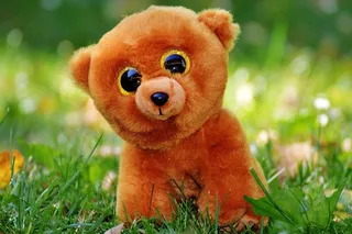 泰迪熊，闪闪发光的眼睛，填充动物，毛绒玩具