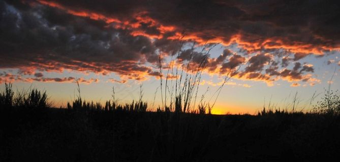 日落，草原，天空，云，自然，户外