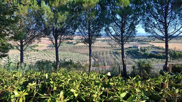 风景，托斯卡纳