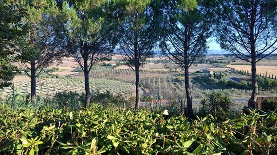 风景，托斯卡纳