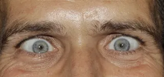 眼睛，见，斜纹，虹膜，学生，睫毛，眉毛