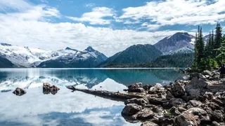 山，雪，树木，风景名胜，自然，景观，Vista