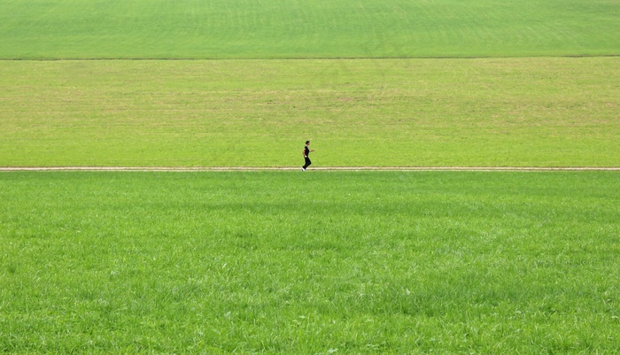 慢跑，一个人，孤独，草地，绿色，草，自然