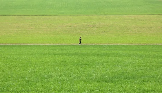 慢跑,一个人,孤独,草地,绿色,草,自然 慢跑,一个人,孤独,草地,绿色,草,自然