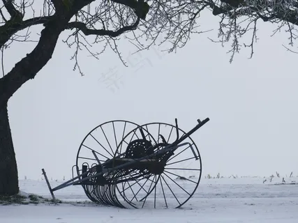 冬季，树，卡尔，雪，静物，干草特德斯