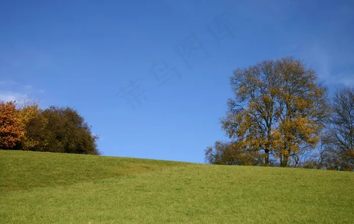 小山，景观，自然，树木，秋季，秋天的心情