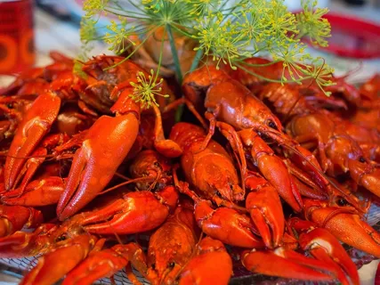 小龙虾,晚餐,秋天,食品,螃蟹 小龙虾,晚餐,秋天,食品,螃蟹