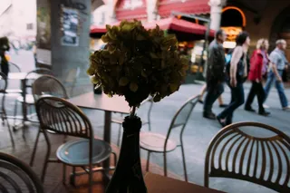 自行车,椅子,鲜花路引,婚庆用花,盆栽植物,咖啡厅里的花