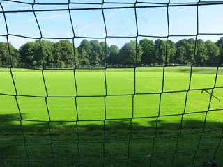 绿色，匆忙，足球，目标，网络，体育，俱乐部