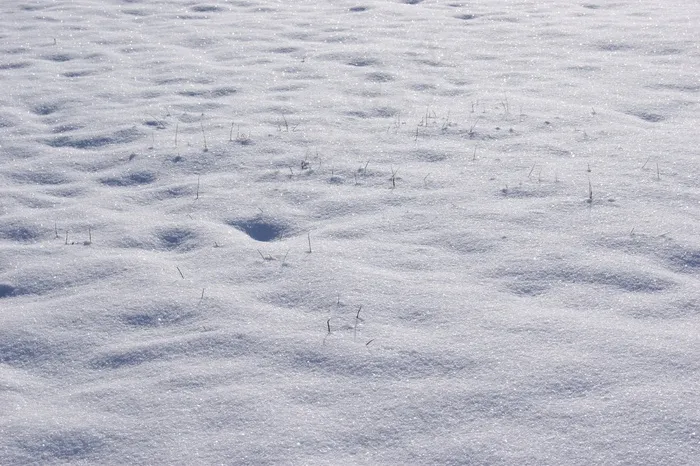 雪，冬天，寒冬，草，冻结，冰