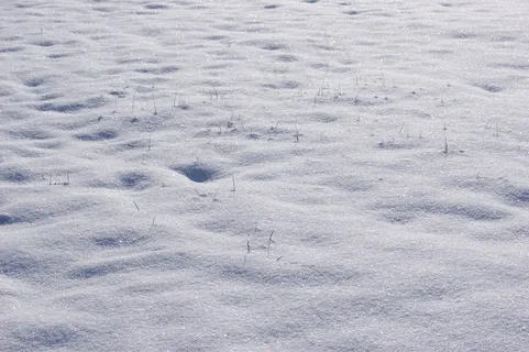 雪，冬天，寒冬，草，冻结，冰