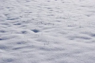 雪，冬天，寒冬，草，冻结，冰