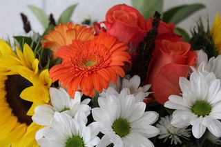 鲜花，束鲜花，花束，花的