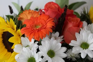 鲜花，束鲜花，花束，花的