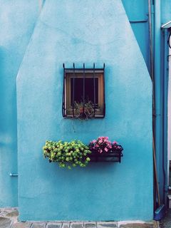 花，篮，花盆，窗口，酒吧，蓝色，墙上，房子