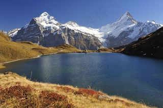 Bachalpsee，伯尔尼角，Wetterhorn，Schreckhorn