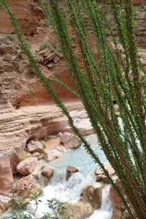 大峡谷，河流，岩石，沙漠，景区，户外