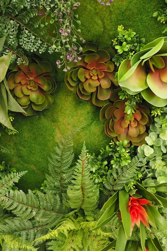 苔，蕨树，绿色