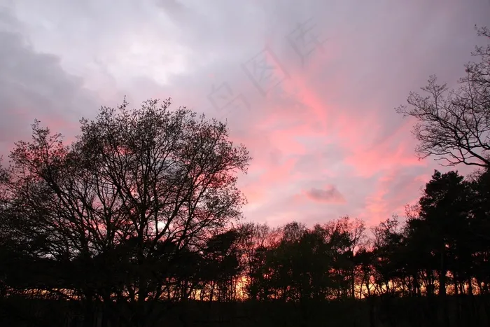 傍晚的天空，日落，余辉，树木，天气心情
