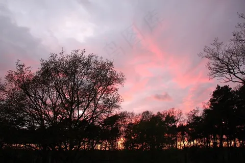 傍晚的天空，日落，余辉，树木，天气心情