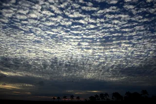 树，天空，云，树枝，性质，蓝色，老树
