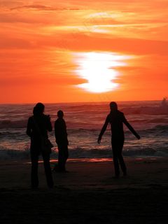 赞德沃特，荷兰，荷兰，北荷兰省，海岸