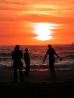 赞德沃特，荷兰，荷兰，北荷兰省，海岸