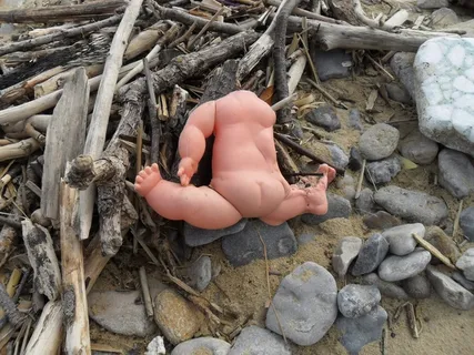 绑架，娃娃，海滩，无头，被遗弃，虐待