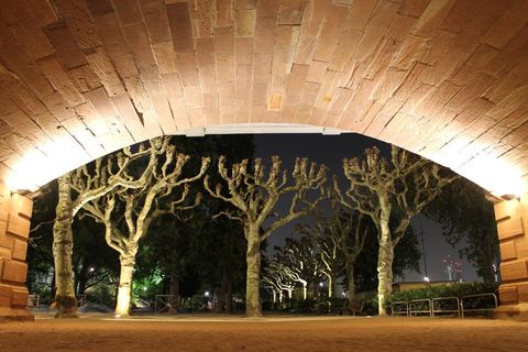 桥，主桥，法兰克福